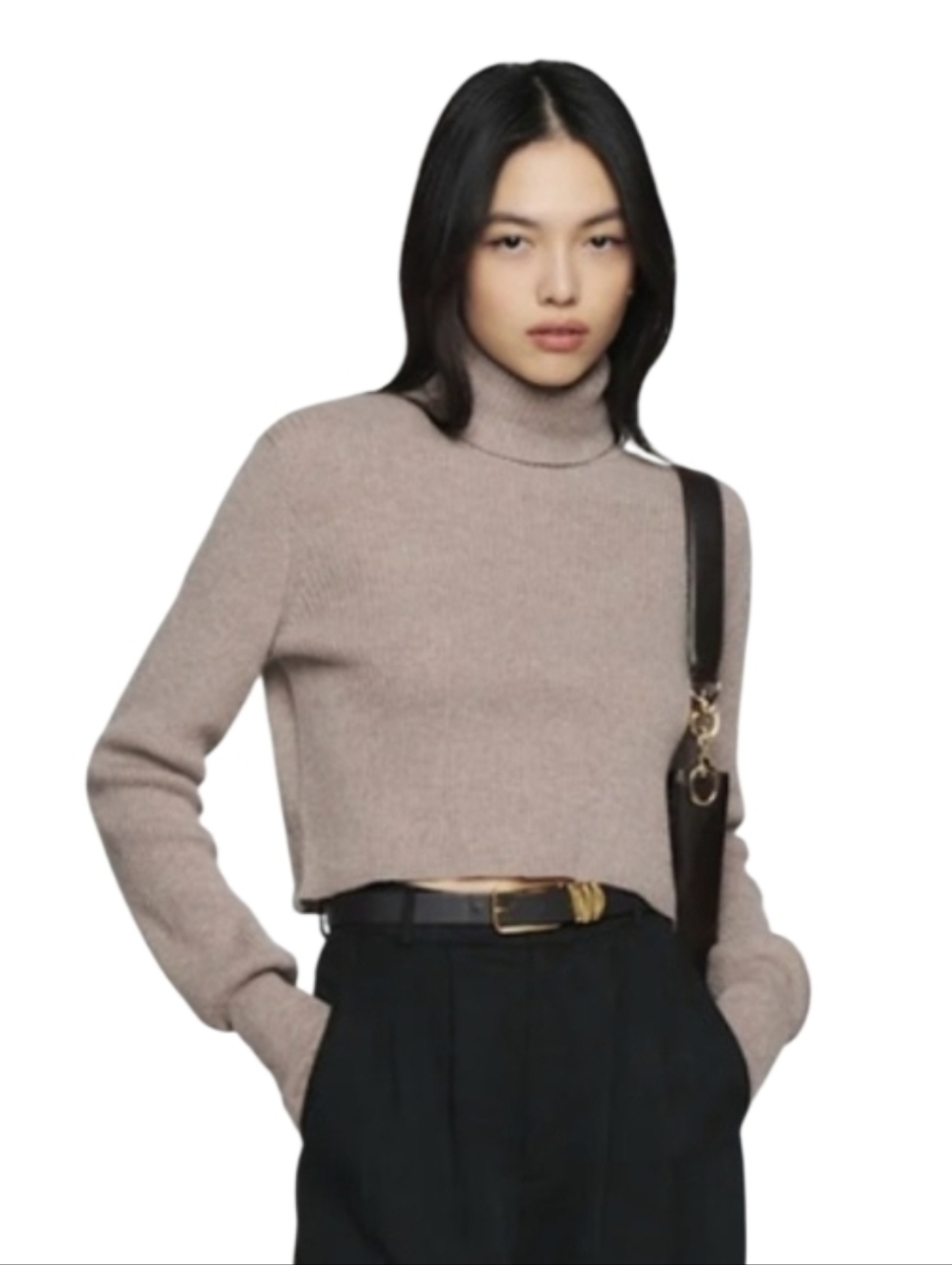 Wilfred Rebecca Sweater  ‎ Cropped Turtleneck